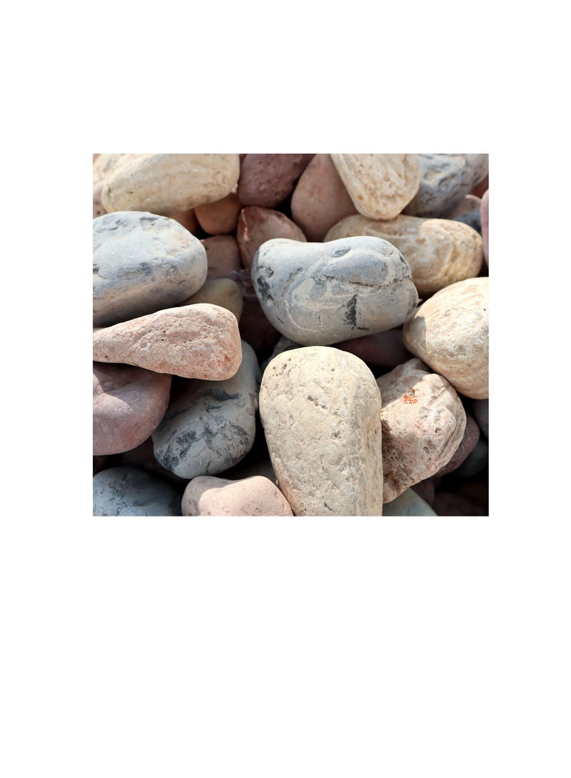 KNP Mix Color River stone Natural Garden Material  5-8 CM 20KG - Image 3