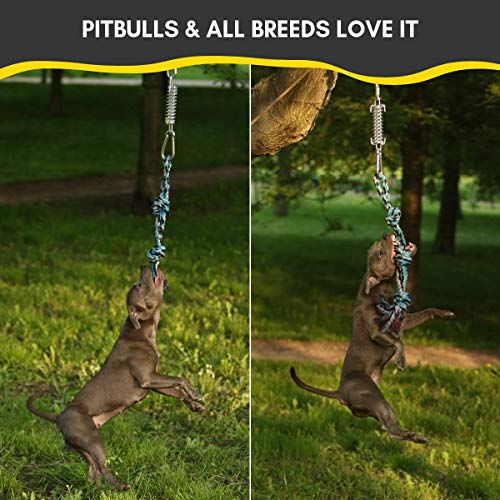 YES4QUALITY Flirt Pole for Dogs, 2 Durable Spring Poles with Strong Dog Rope Toy, Heavy Duty Lure Pole for Dogs of Any Size, Dog Toy for Fun Obedience Training & Exercise, Pull & Tug of War Toy - Image 3