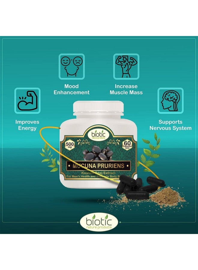 Biotic كبسولات مكونا بوريانس البيوتيك - كبسولات كاونش بيج كبكاشو 500 ملغ مستخلص - 120 كبسولة نباتية (عبوة من 2) - Image 3