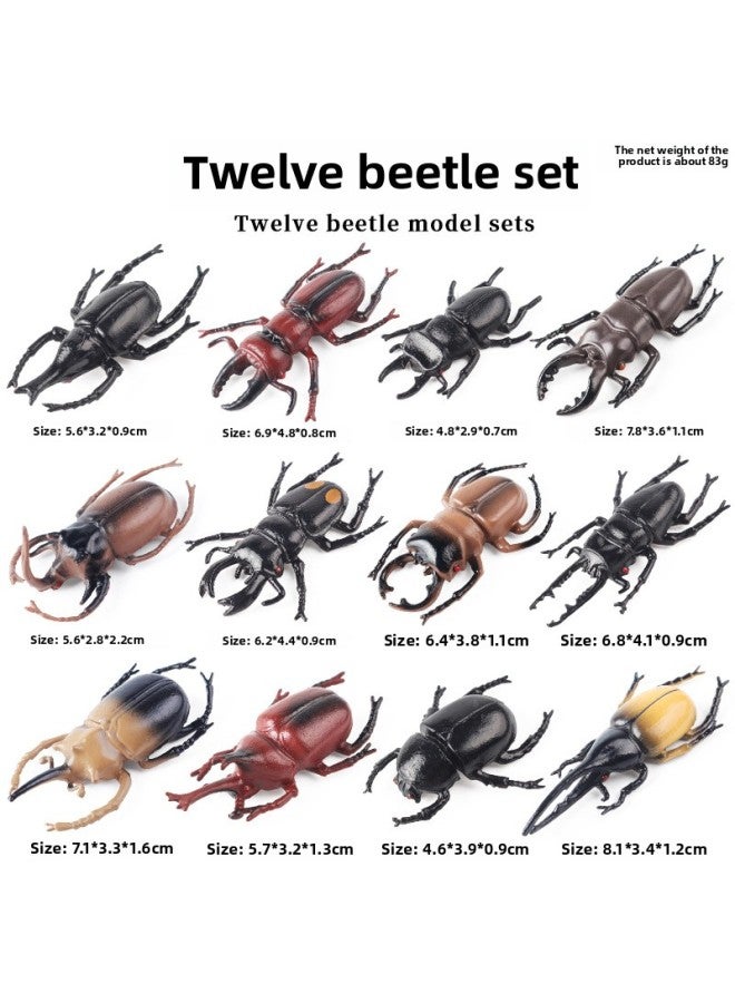 Loquat Trick Toy Simulation Spider Poisonous Spider Insect Animal Model Children's Toy Plastic Ornaments Gift-Color:Bx Beetle 12 Style Set - Image 1