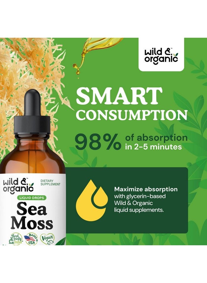 Wild & Organic Sea Moss Drops - Overall Support with Irish Seamoss and Bladderwrack - Multimineral Chondrus Crispus Tincture - Vegan, Sugar & Alcohol-Free Liquid Supplement - 4 fl oz - Image 4