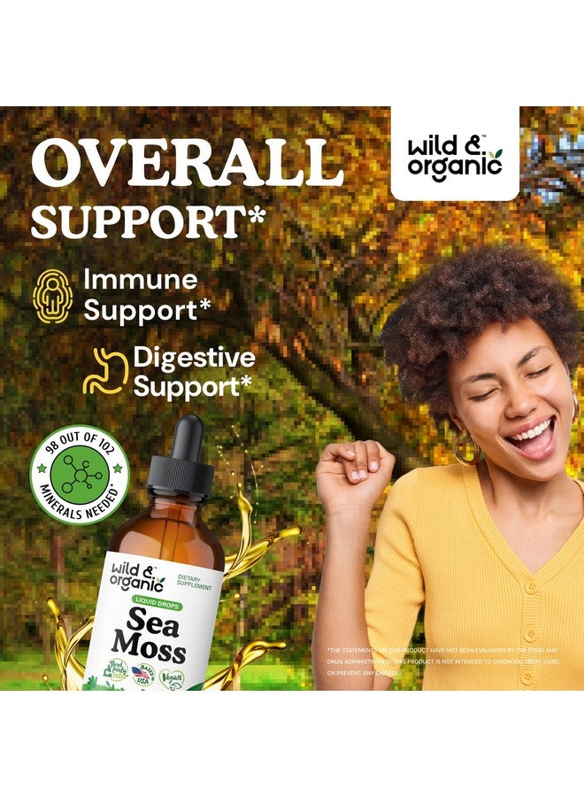 Wild & Organic Sea Moss Drops - Overall Support with Irish Seamoss and Bladderwrack - Multimineral Chondrus Crispus Tincture - Vegan, Sugar & Alcohol-Free Liquid Supplement - 4 fl oz - Image 2