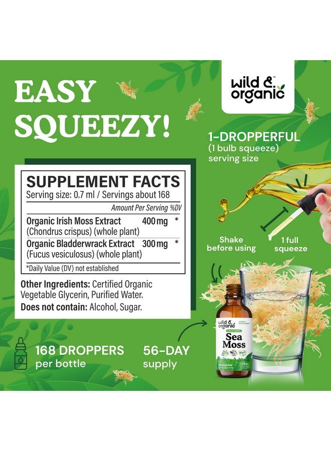 Wild & Organic Sea Moss Drops - Overall Support with Irish Seamoss and Bladderwrack - Multimineral Chondrus Crispus Tincture - Vegan, Sugar & Alcohol-Free Liquid Supplement - 4 fl oz - Image 3