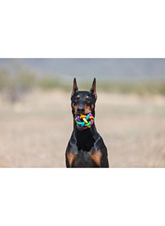 Multipet Multi Pet Nobbly Wobbly Dog Rubber Ball-Medium  - Image 3