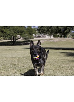 Multipet Multi Pet Nobbly Wobbly Dog Rubber Ball-Medium  - Image 4