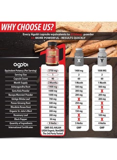 agobi 9in1 Brain Support Supplement - Concentrated Ashwagandha Root, Gotu Kola Powder, Bacopa Monnieri Powder and More - 90 Capsules - 3-Month Supply  - Image 4