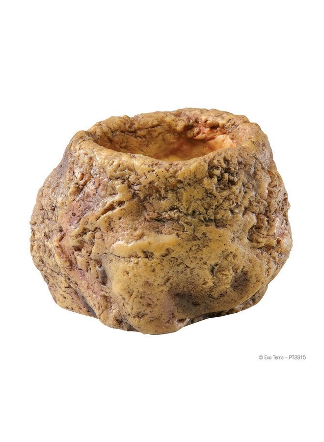 Exo Terra Snake Bowl
