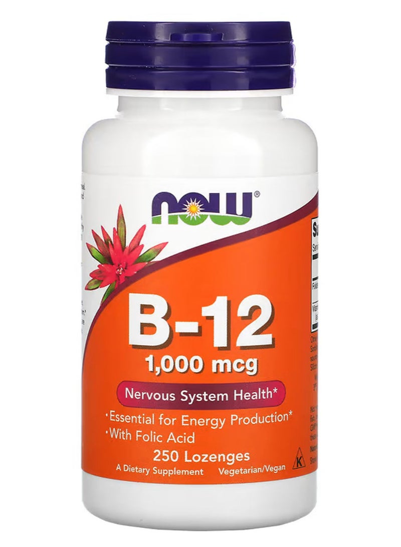 now B-12, 1,000 mcg, 250 Lozenges - Image 1