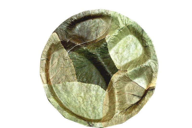 Nature leaf 100 BioDegradable Disposable EcoFriendly Wedding Anniversary Birthday Party Events Occasion Compostable Natural Palash Leaf Plates 14 Pack of 25 - Image 1