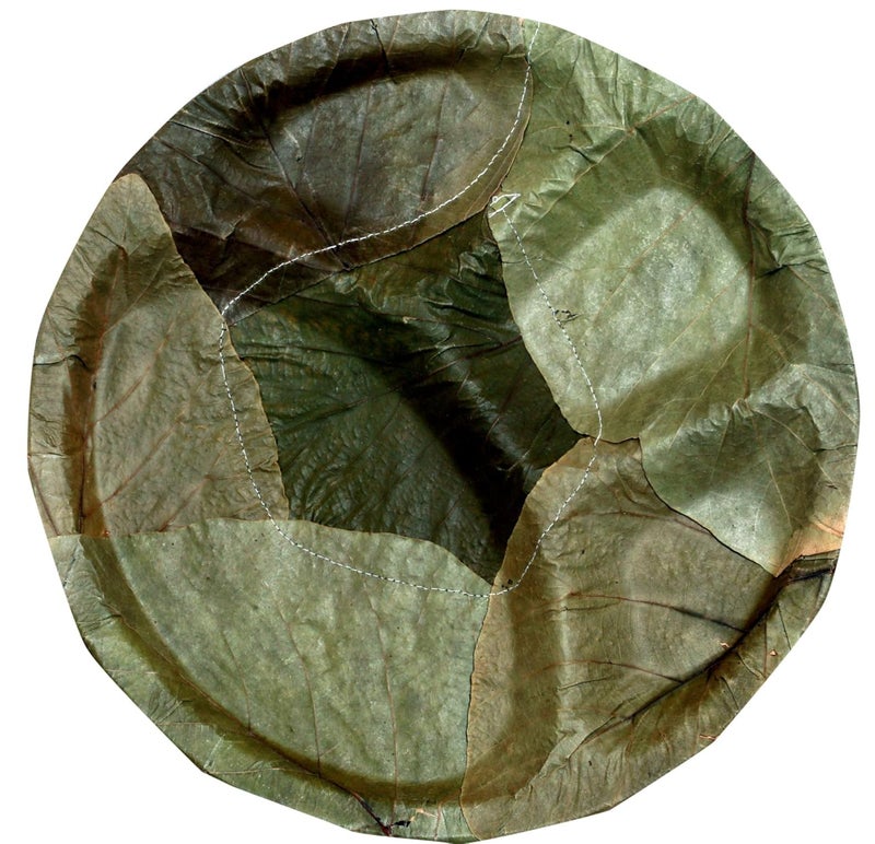 Nature leaf 100 BioDegradable Disposable EcoFriendly Wedding Anniversary Birthday Party Events Occasion Compostable Natural Palash Leaf Plates 14 Pack of 25 - Image 2