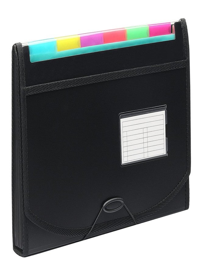 NISUN 13 Pockets A4 File Organiser for documents, Expanding File Folder Letter Size Paper Document Storage with Coloured Tags for Office and School (33 * 24cm) - Image 1