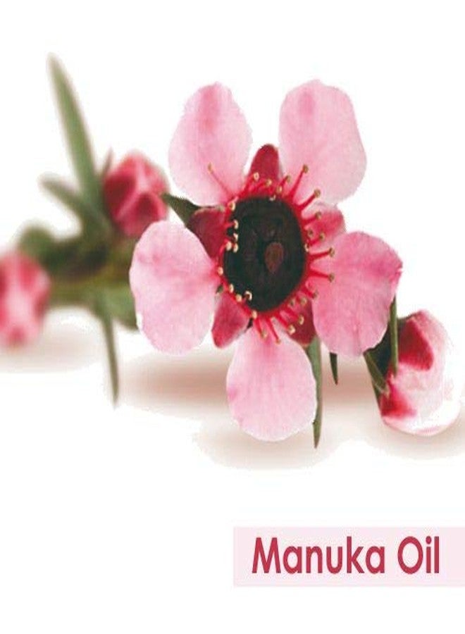 Salvia Manuka Oil (Leptospermum Scoparium) 100% Pure & Natural With Dropper 15Ml - Image 2