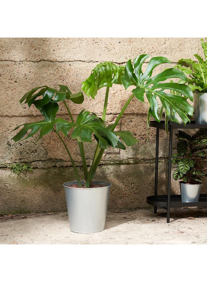 Zaboon Plant pot, in/outdoor/galvanised, 24 cm - Image 3