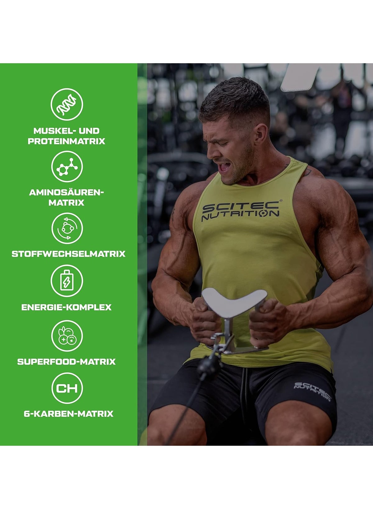 Whey Protein Muscle Mass Gainer Supplement - Chocolate Flavor - Performance & Energy Boost