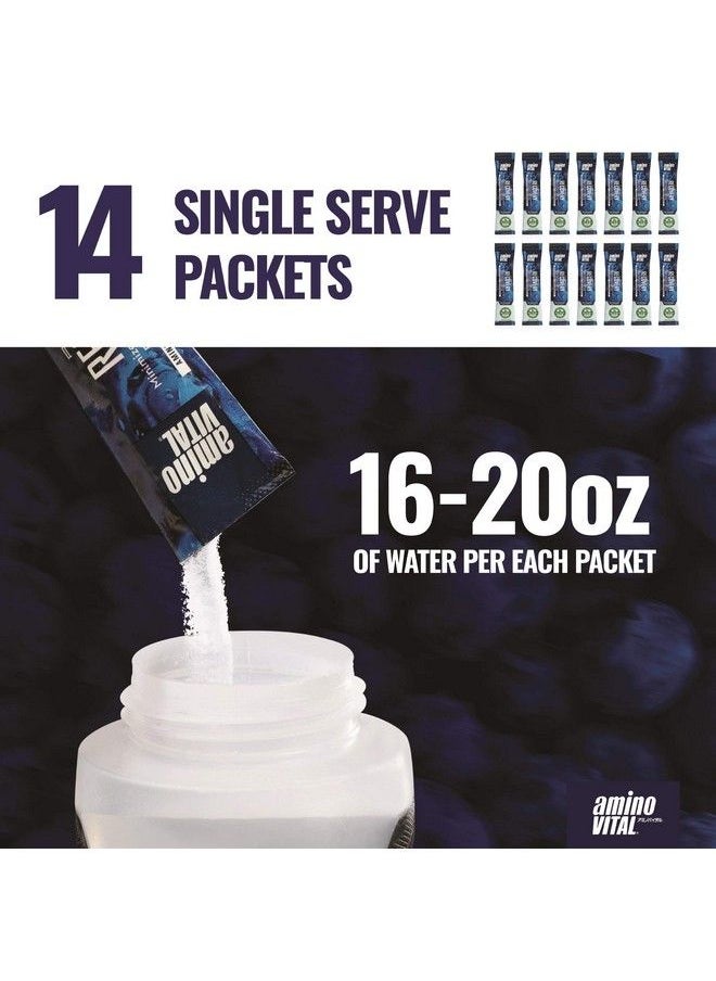 Amino Vital - Rapid Recovery Bcaas Amino Acid Post Workout Powder Packets ; Muscle Recovery Drink With Glutamine ; Vegan Gluten Free Supplement ; 14 Single Serve Bcaa Travel Packets ; Blueberry Flavor - Image 1