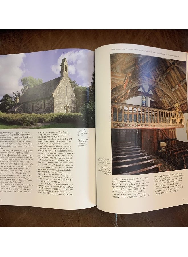 null - Temlau Peintiedig/ Painted Temples (Temlau Peintiedig / Painted Temples: Murluniau a Chroglenni yn Eglwysi Cymru, 1200–1800 / Wallpaintings and Rood-screens in Welsh Churches, 1200–1800) - Image 1