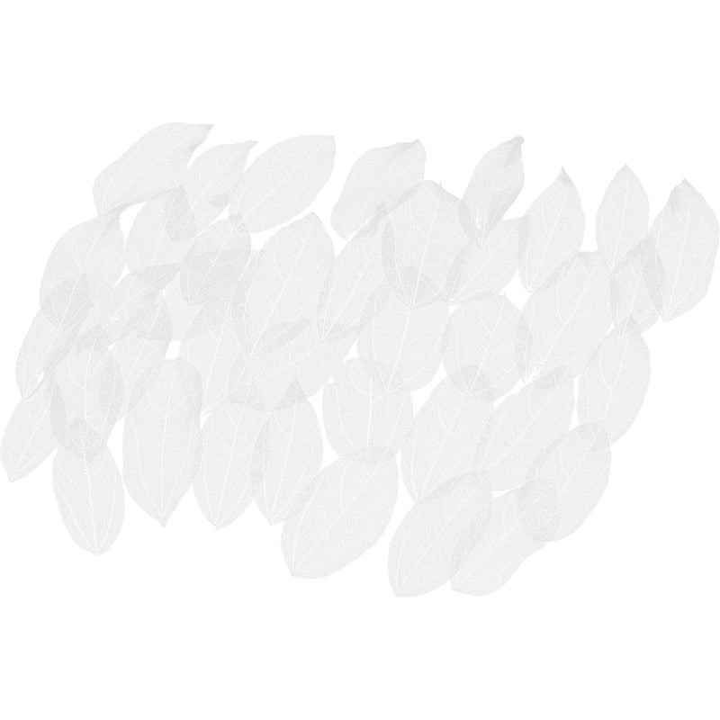 🌱 زهور خريف مضغوطة لمشاريع فنية مواد موثوقة لإنشاءات تدوم طويلا - Image 5