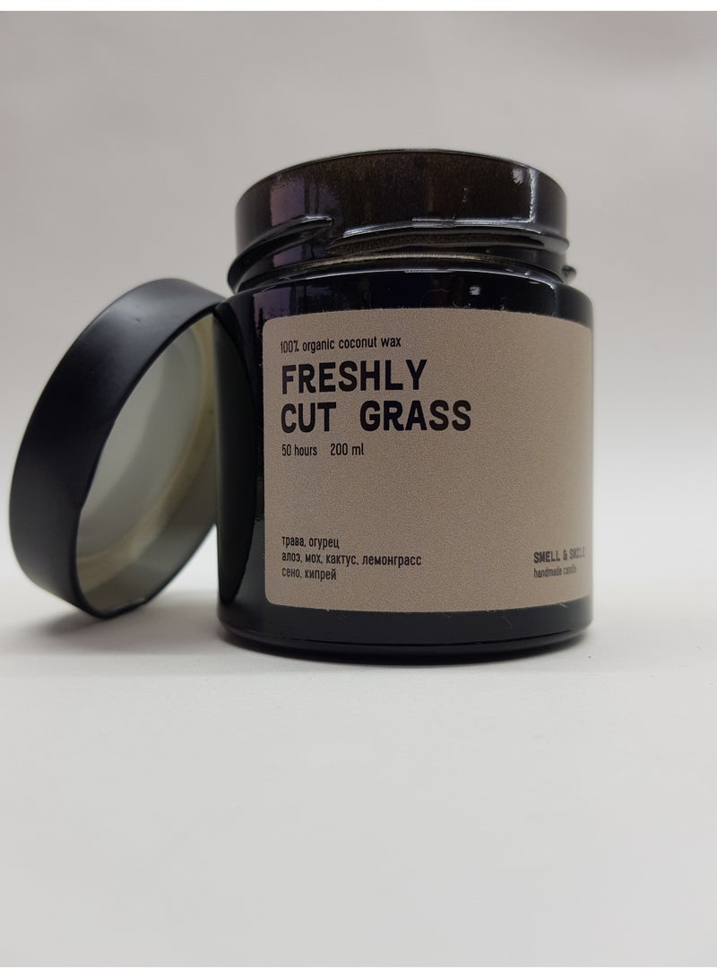 Scented Candle in Amber Glass Jar 200ml – FRESHLY CUT GRASS, Natural Coconut Soy Wax, Wooden Crackling Wick, Green Herbal Aroma, IFRA & REACH Certified - Image 2