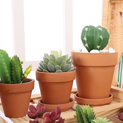 Yishang Terra Cotta Pots with Saucer- 12-Pack Large Clay Ceramic Planter Cactus Flower Succulent Pot with Drainage Hole- Great for Plants, Crafts - Image 4
