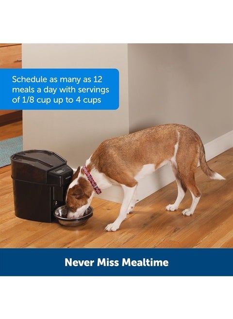 Healthy Pet Simply Feed - PetSafe Automatic Feeder - Headquartered in Knoxville, TN - Automatic Dog Feeder from the Engineers of the Smart Feed & Dancing Dot - 1-Year Comprehensive Protection Plan,Bla