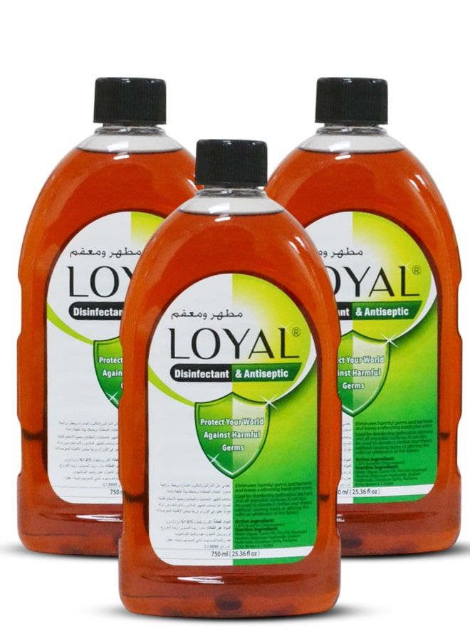 لويال مطهر و سائل مطهر لويال ٣ × ٧٥٠ مل - Image 1