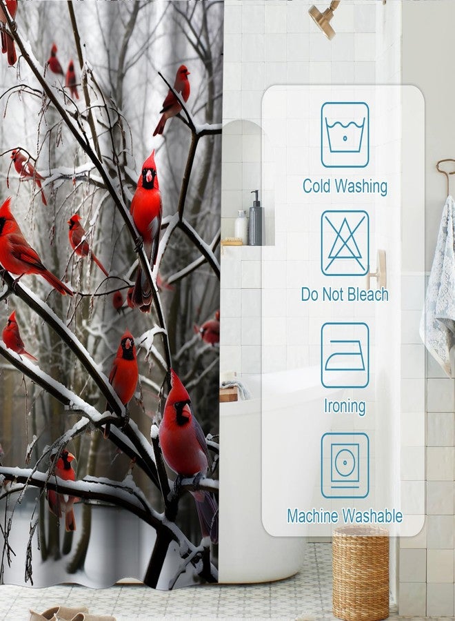 Final Friday Forest Tree Shower Curtains Cute Cardinal Birds on Branch Theme Cloth Fabric Bathroom Decor Sets with Hooks Waterproof Washable 72 x 72 inches Red White and Brown - Image 4