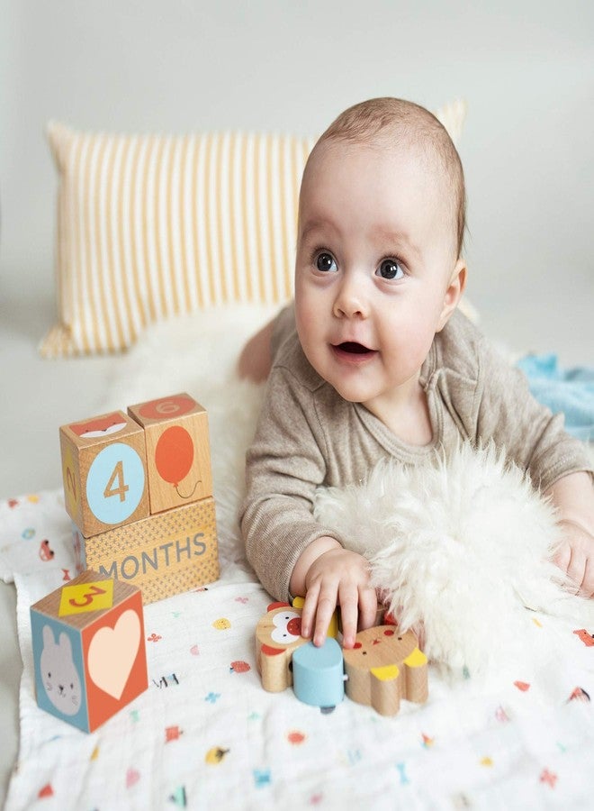 Petit Collage Baby Milestone Blocks Photo Props for Months, Weeks, Years - Numbered Wooden Blocks, Baby Props to Capture Baby’s Growth Over Time - Image 4