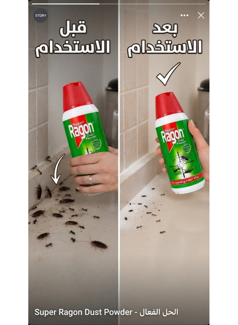 راجون بودرة تعفير مبيد الحشرلاات الزاحفة 3 قطع 80 جرام - Image 2