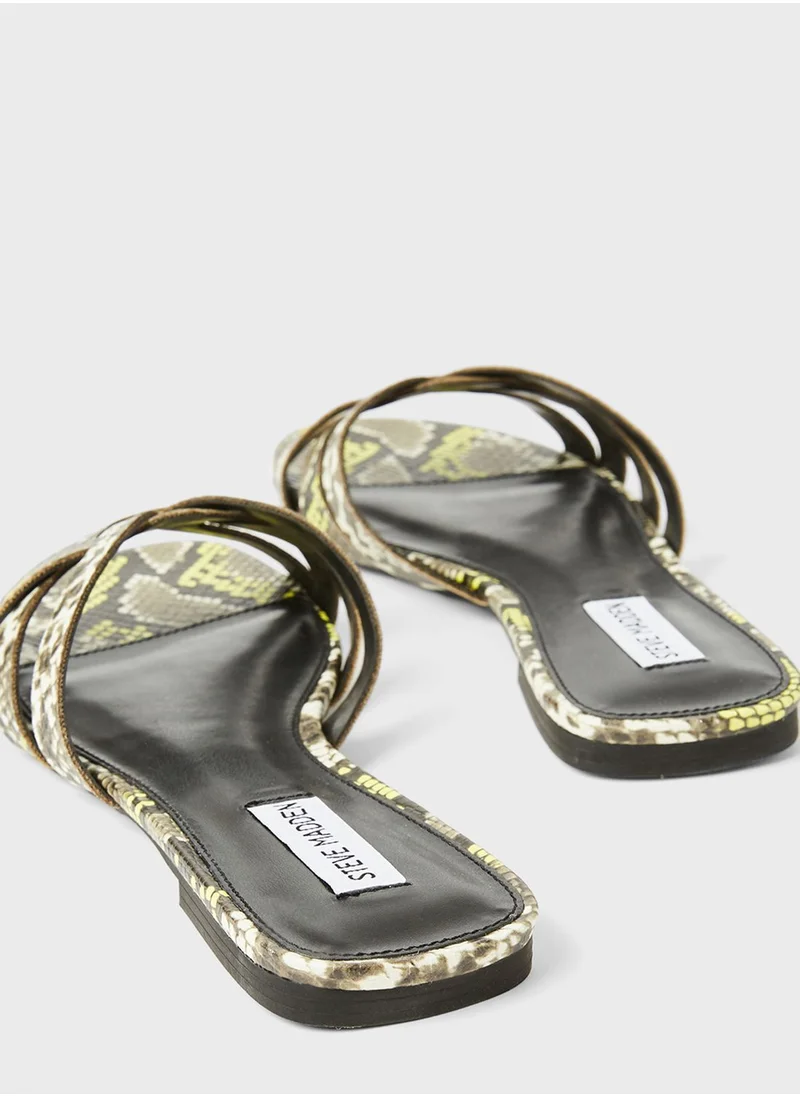 ستيف مادن Snake Pattern Flat Sandals