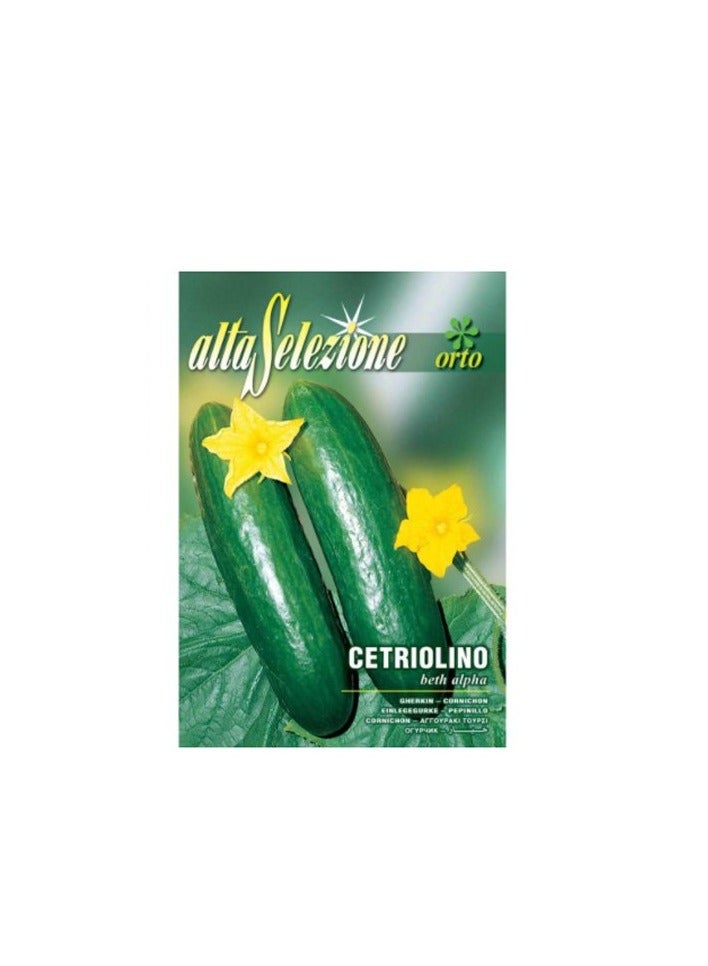 KNP Cetriolino Beth Alpha - Cucumber Seeds 