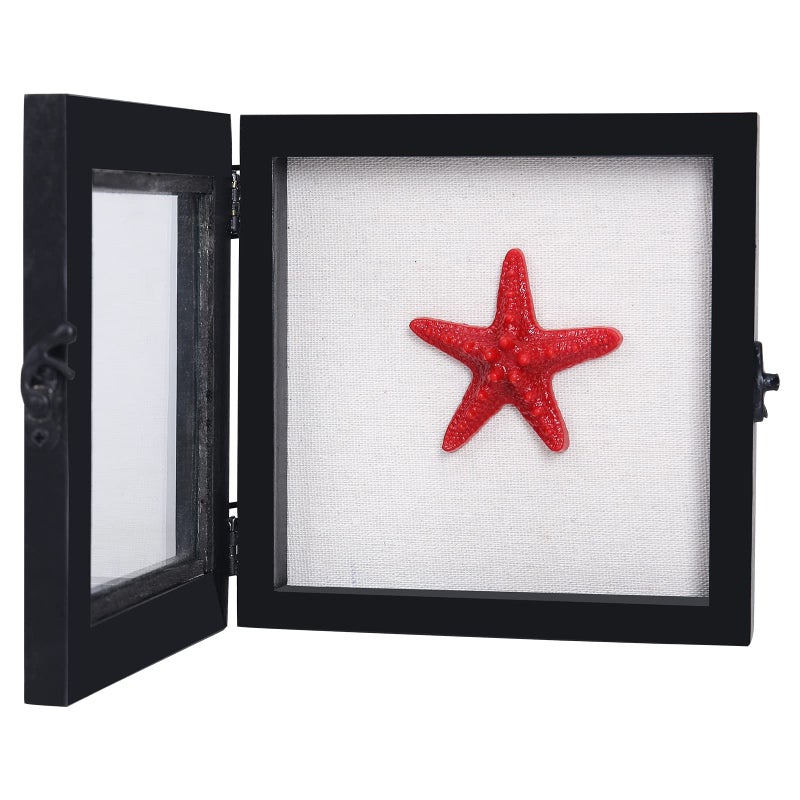 HOUOOFVA Shadow Box 6x6 Small Shadow Box Frame with Glass Square Shadow Boxes Display Cases for Seashell Antique Ticket Stub Insect Taxidermy Pins Coins Black 