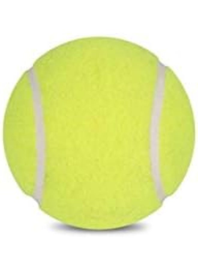 Vector X Lite Cricket Tennis Balls – Pack of 6 Lightweight Balls for Indoor & Outdoor Training - Image 2