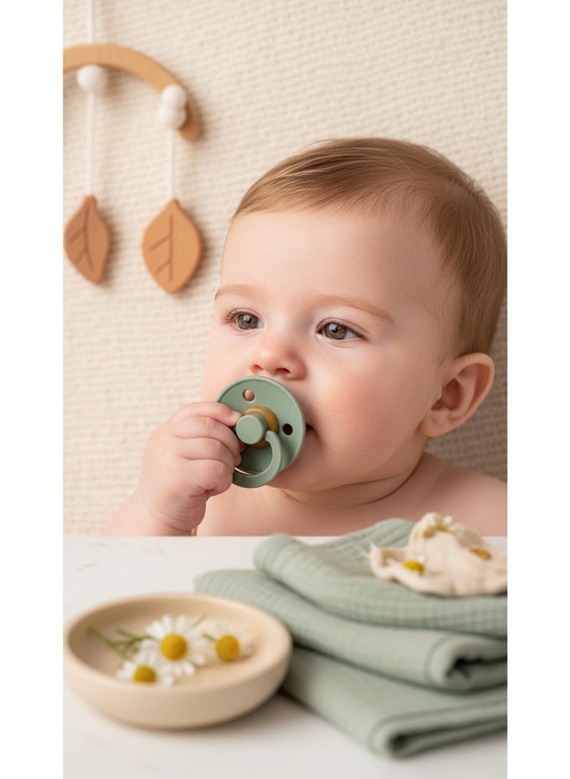 BIBS Pacifier Symmetrical Nipple  0M+ - Image 3