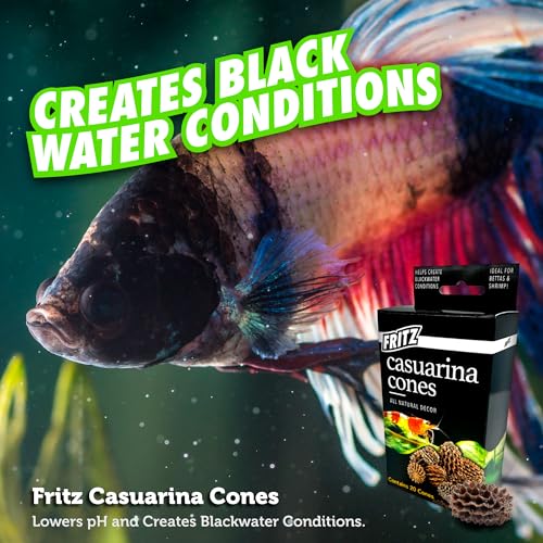 Fritz Aquatics Betta Botanicals for Betta and Community Fish Aquariums (Casuarina Cones - 20ct) - Image 5