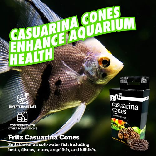 Fritz Aquatics Betta Botanicals for Betta and Community Fish Aquariums (Casuarina Cones - 20ct) - Image 4
