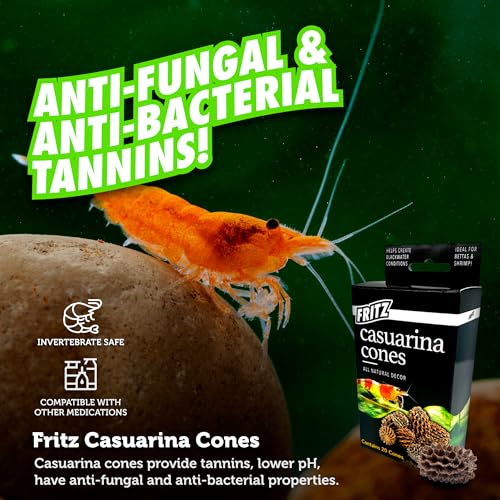 Fritz Aquatics Betta Botanicals for Betta and Community Fish Aquariums (Casuarina Cones - 20ct) - Image 3