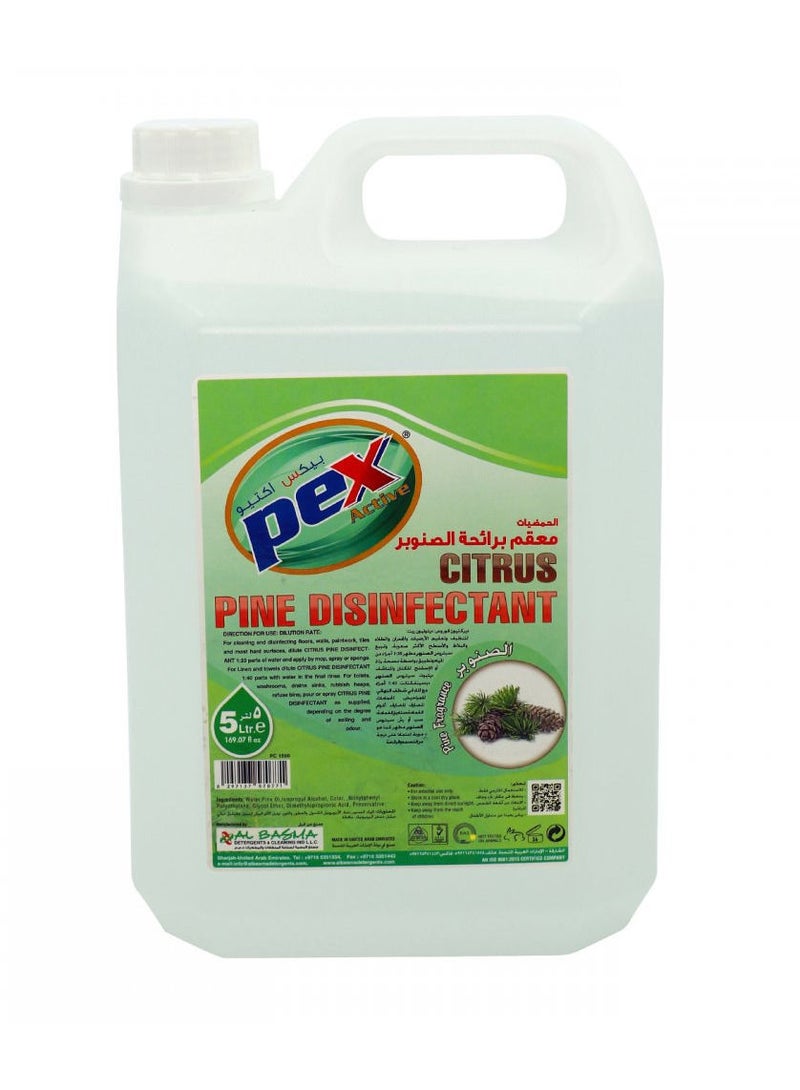 Pex Pine Disinfectant Citrus - Image 1