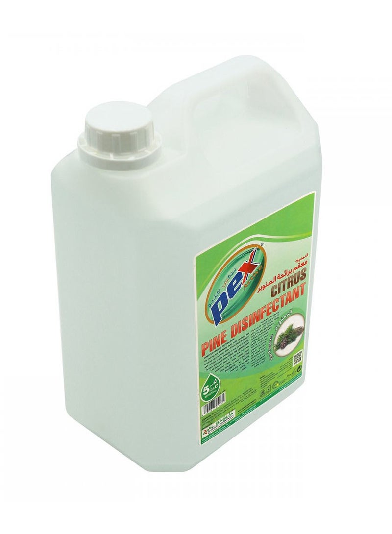 Pex Pine Disinfectant Citrus - Image 2