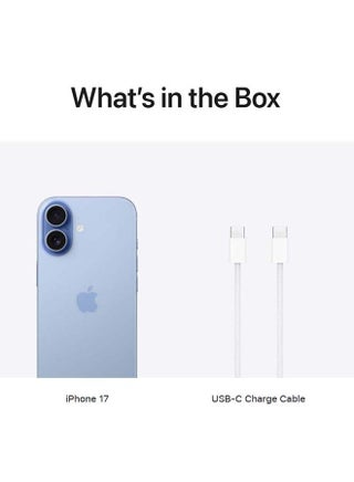 iPhone 17 512GB (Nano SIM + eSIM)  Mist Blue 5G With FaceTime - International Version - view 5