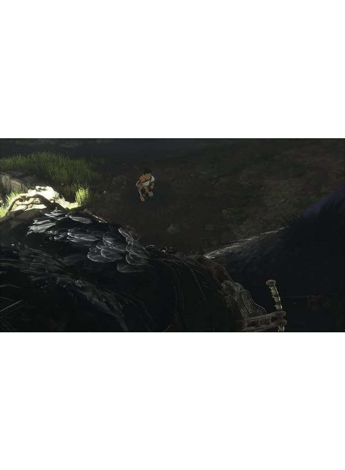 PS4 The Last Guardian for PS4 - PlayStation 4 - New Original - Image 2