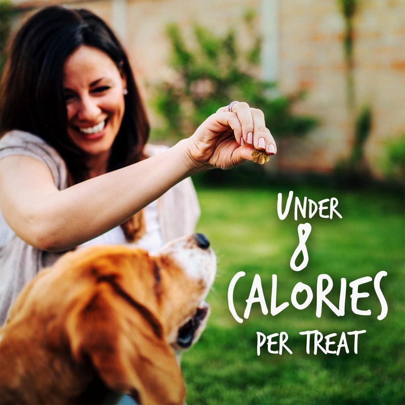 Fruitables Baked Dog Treats, Healthy Pumpkin Treat for Dogs, Low Calorie & Delicious, No Wheat, Corn or Soy, Made in the USA, Pumpkin and Banana Flavor, 12oz - Image 5