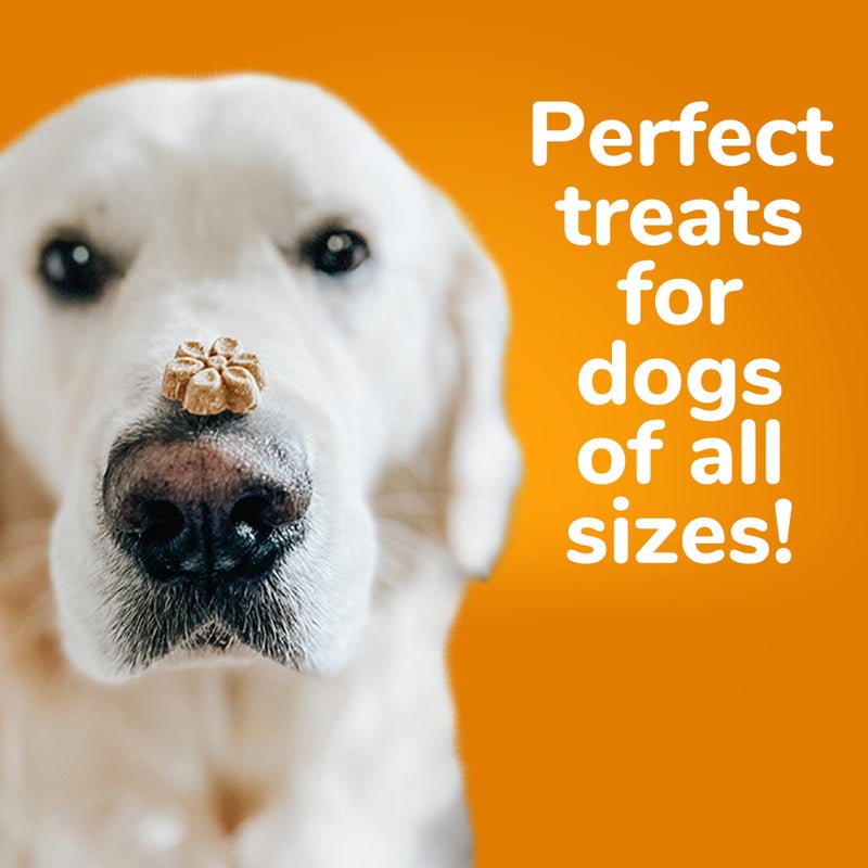 Fruitables Baked Dog Treats, Healthy Pumpkin Treat for Dogs, Low Calorie & Delicious, No Wheat, Corn or Soy, Made in the USA, Pumpkin and Banana Flavor, 12oz - Image 2