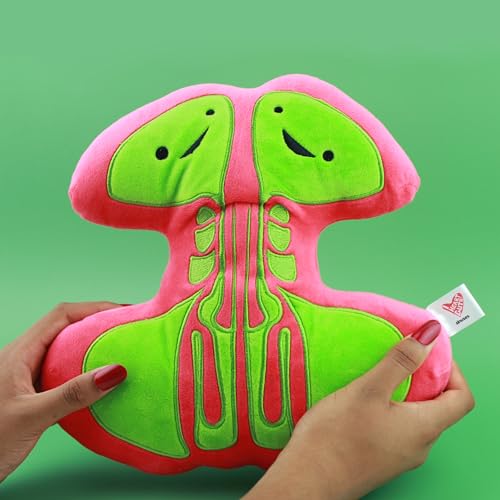 I Heart Guts Sinus Plush Cute Educational Organ Toy for Sinusitis Deviated Septum Funny Get Well Recovery Gift for ENT Nurse Patients Medical Student STEM Anatomy Plushie - Image 5