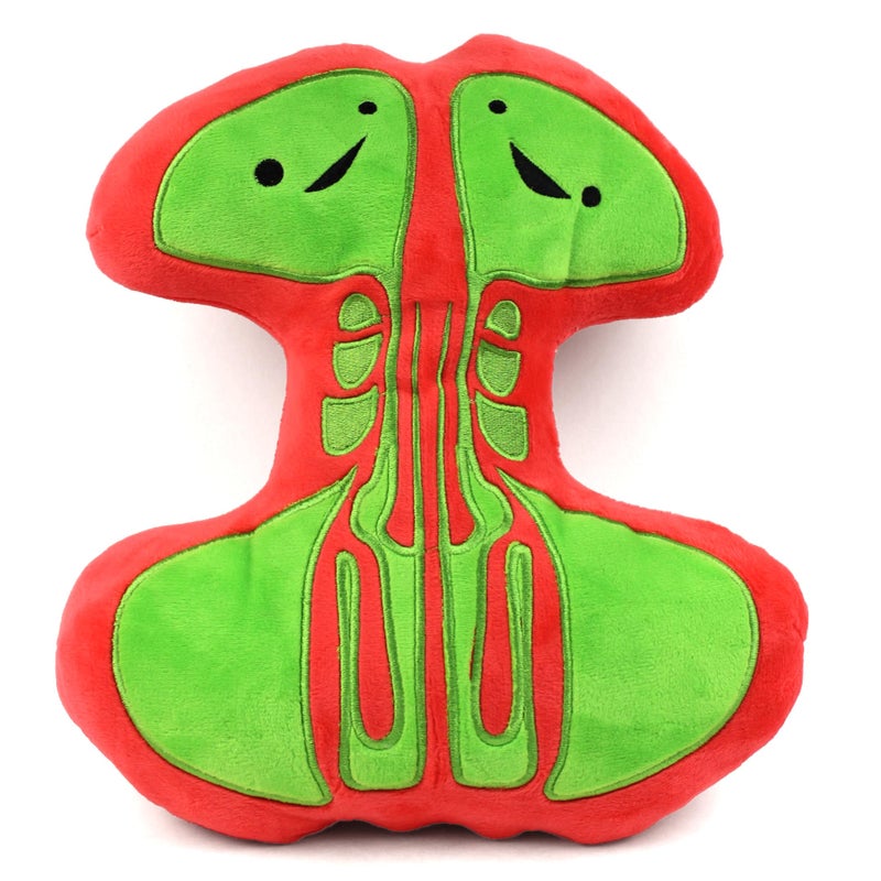 I Heart Guts Sinus Plush Cute Educational Organ Toy for Sinusitis Deviated Septum Funny Get Well Recovery Gift for ENT Nurse Patients Medical Student STEM Anatomy Plushie - Image 3