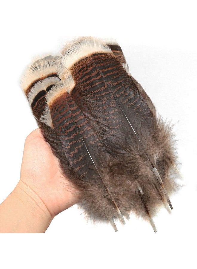 LUORNG Natural Turkey Feather 20Pcs 15 20Cm/5.9 7.87Inch Precious Turkey Tail Feathers For Diy Costume Headress - Image 2