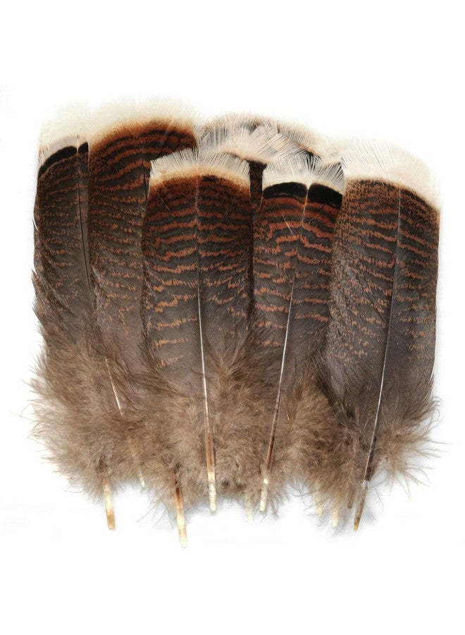 LUORNG Natural Turkey Feather 20Pcs 15 20Cm/5.9 7.87Inch Precious Turkey Tail Feathers For Diy Costume Headress - Image 1