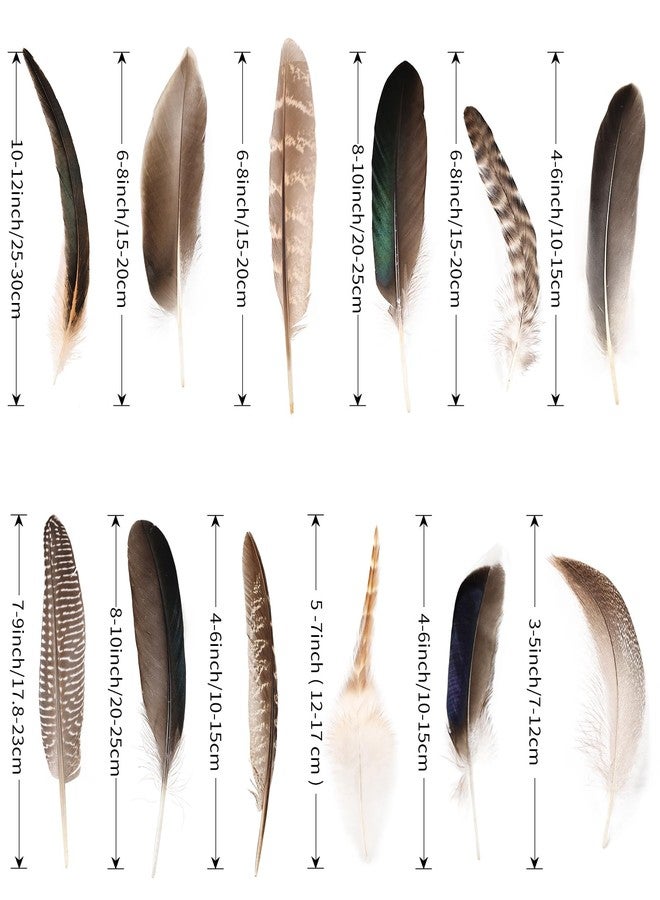 whitefeather Natural Feathers Bulk - 150PCS - 12 Styles Assorted Natural Feathers, Pheasant Feathers, Turkey Feathers for DIY Crafts, Wedding, Crafting Supplies - Image 4