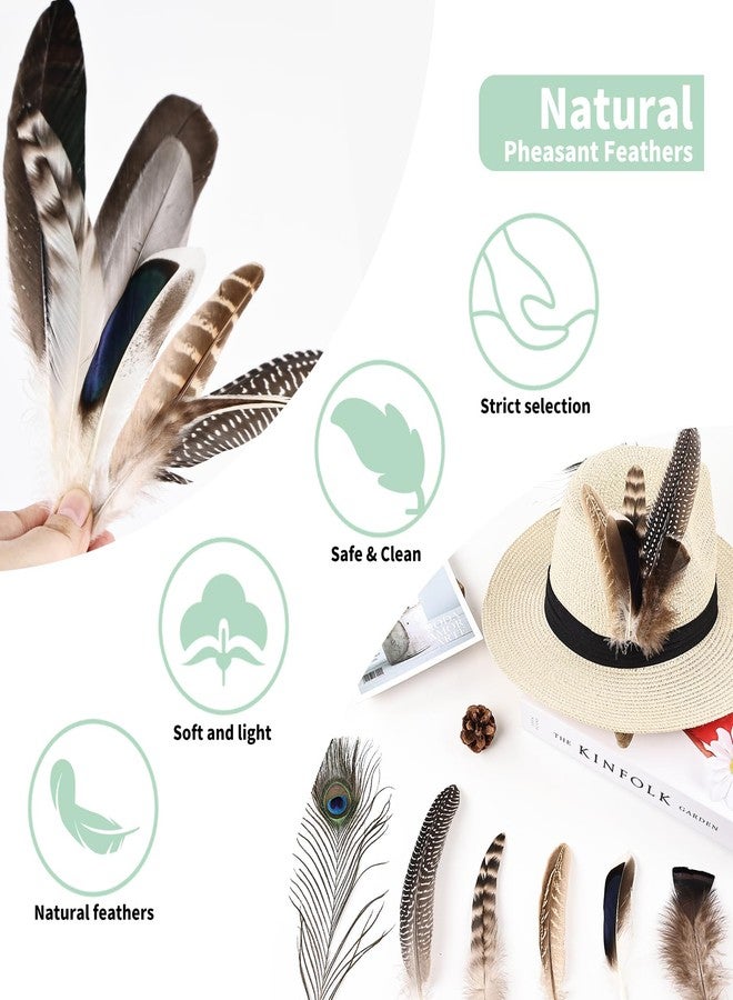 whitefeather Natural Feathers Bulk - 150PCS - 12 Styles Assorted Natural Feathers, Pheasant Feathers, Turkey Feathers for DIY Crafts, Wedding, Crafting Supplies - Image 5
