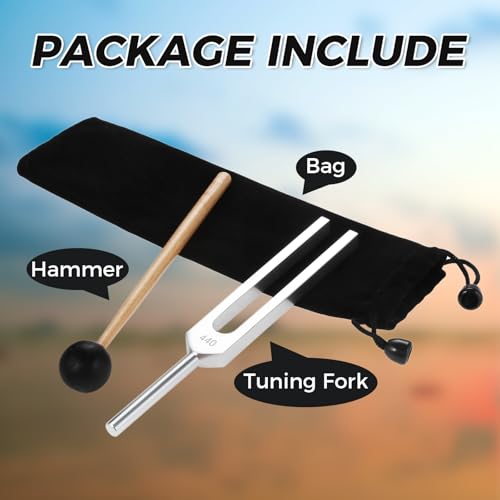 DRELD 440 Hz Tuning Fork, A440Hz Tuning Fork with Silicone Hammer Bag for Violin Guitar Tuner Instrument - Image 4