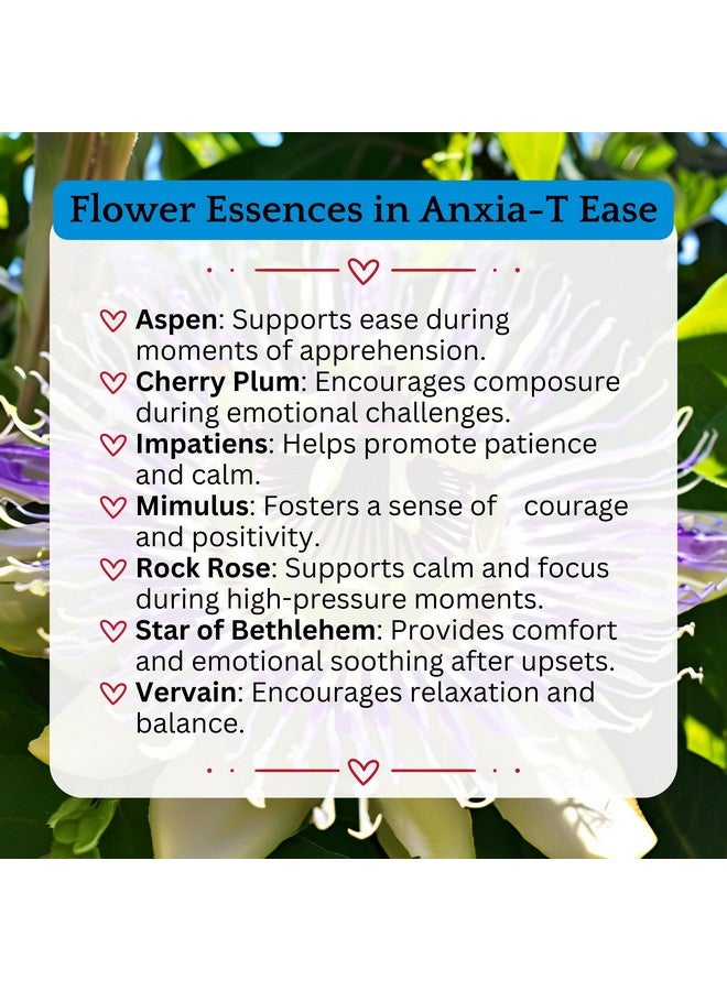 Herb Lore Anxia-T Ease Tincture - Herbal Mood & Relaxation Support with Passionflower, Lavender, Chamomile and Flower Essences (2 fl oz) - Image 5